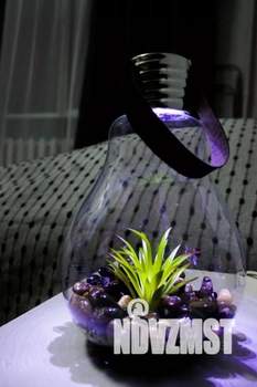 1-к квартира, посуточно, 19м2, 1/1 этаж