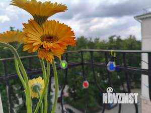 3-к квартира, посуточно, 80м2, 1/1 этаж