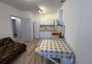 1-к квартира, на длительный срок, 33м2, 1/15 этаж