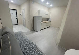 1-к квартира, на длительный срок, 24м2, 6/16 этаж