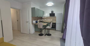 1-к квартира, на длительный срок, 24м2, 7/15 этаж