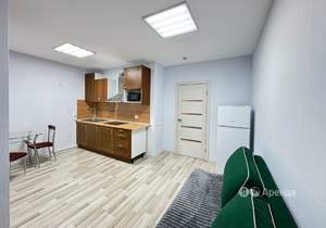 Студия квартира, на длительный срок, 24м2, 13/14 этаж