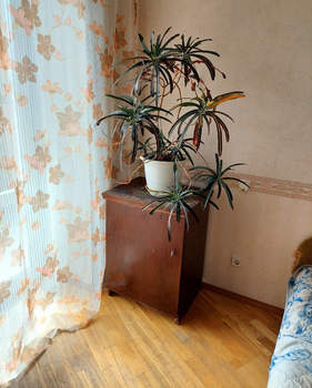 3-к квартира, на длительный срок, 60м2, 9/9 этаж