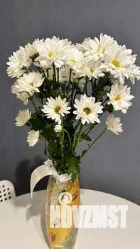 Студия квартира, посуточно, 26м2, 8/17 этаж