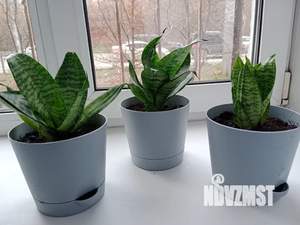 1-к квартира, посуточно, 30м2, 1/5 этаж