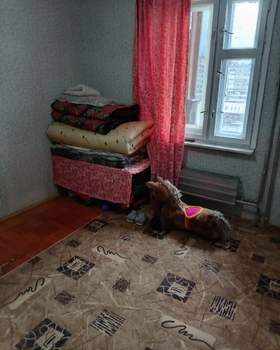 3-к квартира, на длительный срок, 65м2, 7/9 этаж