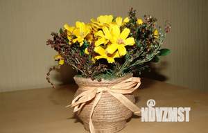 1-к квартира, посуточно, 29м2, 1/5 этаж