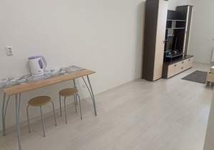 1-к квартира, на длительный срок, 29м2, 13/16 этаж