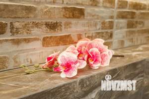 Студия квартира, посуточно, 29м2, 21/25 этаж