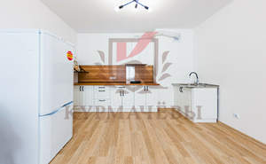 1-к квартира, на длительный срок, 56м2, 2/20 этаж