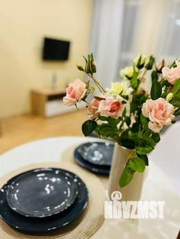 Студия квартира, на длительный срок, 25м2, 4/9 этаж