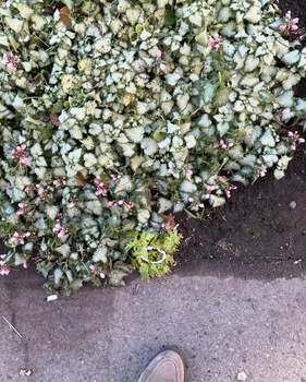 1-к квартира, на длительный срок, 35м2, 3/9 этаж