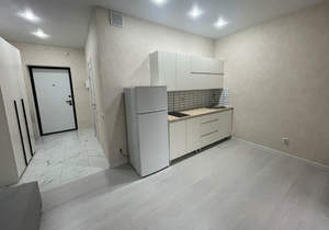 1-к квартира, на длительный срок, 24м2, 6/16 этаж