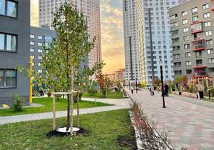 1-к квартира, на длительный срок, 25м2, 13/16 этаж