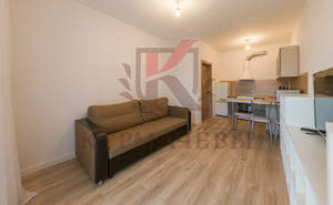 2-к квартира, на длительный срок, 38м2, 2/22 этаж