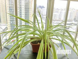 2-к квартира, посуточно, 80м2, 17/20 этаж