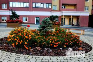 1-к квартира, посуточно, 45м2, 4/31 этаж