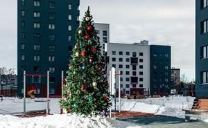 1-к квартира, на длительный срок, 25м2, 13/16 этаж