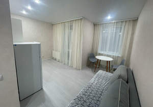 1-к квартира, на длительный срок, 24м2, 6/16 этаж