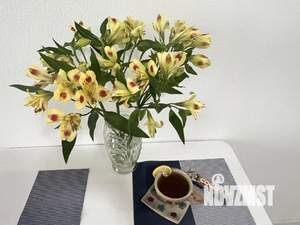 1-к квартира, посуточно, 23м2, 1/1 этаж