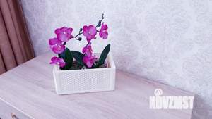 1-к квартира, посуточно, 35м2, 1/5 этаж