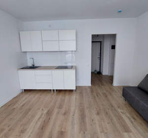 1-к квартира, на длительный срок, 21м2, 9/15 этаж