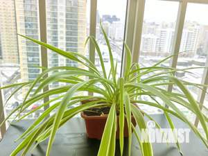 2-к квартира, посуточно, 80м2, 17/20 этаж