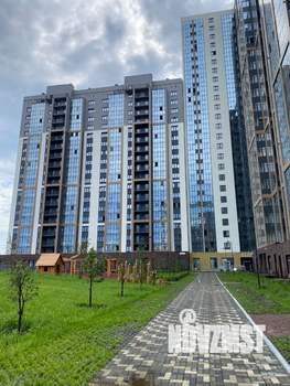 Студия квартира, на длительный срок, 25м2, 5/19 этаж