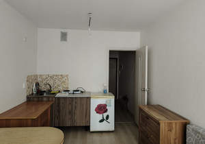 Студия квартира, на длительный срок, 25м2, 5/25 этаж