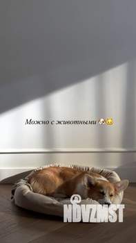 Студия квартира, на длительный срок, 35м2, 3/15 этаж