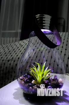 Студия квартира, посуточно, 20м2, 2/4 этаж