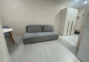 1-к квартира, на длительный срок, 24м2, 6/16 этаж