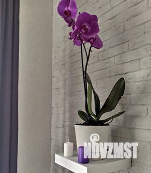 Студия квартира, посуточно, 25м2, 1/4 этаж