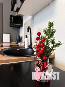 Студия квартира, посуточно, 21м2, 2/6 этаж