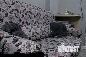 1-к квартира, посуточно, 19м2, 1/1 этаж