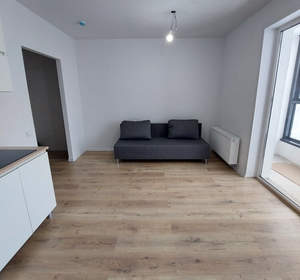 1-к квартира, на длительный срок, 21м2, 9/15 этаж