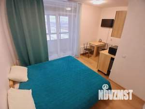 Студия квартира, посуточно, 24м2, 8/11 этаж