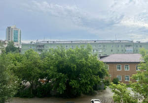 1-к квартира, на длительный срок, 33м2, 3/9 этаж