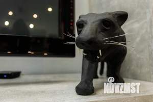 1-к квартира, посуточно, 37м2, 1/1 этаж