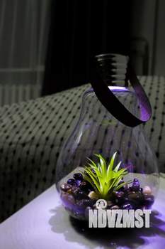 Студия квартира, посуточно, 20м2, 2/4 этаж