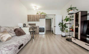 1-к квартира, на длительный срок, 24м2, 4/5 этаж