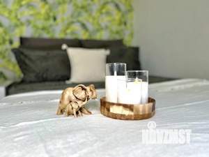 1-к квартира, посуточно, 35м2, 1/1 этаж