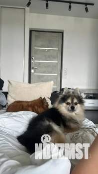 1-к квартира, посуточно, 55м2, 16/16 этаж