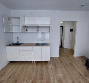 1-к квартира, на длительный срок, 21м2, 9/15 этаж