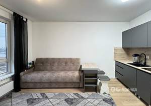 Студия квартира, на длительный срок, 19м2, 17/29 этаж