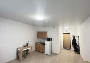 Студия квартира, на длительный срок, 27м2, 20/28 этаж