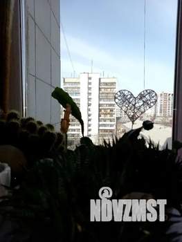 Студия квартира, посуточно, 25м2, 8/9 этаж