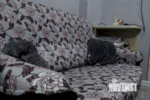 Студия квартира, посуточно, 20м2, 2/4 этаж