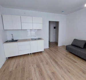 1-к квартира, на длительный срок, 21м2, 9/15 этаж