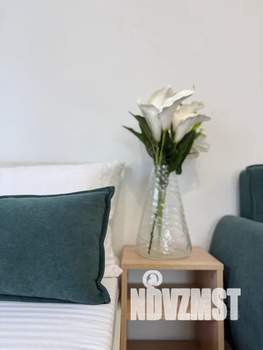 1-к квартира, посуточно, 26м2, 20/25 этаж